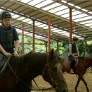 충청북도장애인종합복지관 이미지