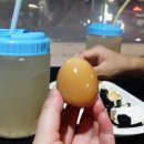 지중해사우나 이미지