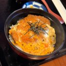 파니하우스 | 여행] 시라카와고 합장촌, 시라오기 점심, 푸딩하우스, 전망대 - 시라카와고와 다카야마 버스투어...