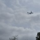 북부-10(북부동 행정복지센터) | 포천 인천공항, 인천공항 포천 택시비 / 왕복 운행 후기로 가성비 좋은 포천 ⇔ 인천공항(김포공항) 콜...