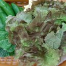 양반왕족발보쌈 이미지