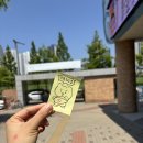 2025년 제21대 대통령선거 투표참관인 알바 후기 (+수당/알바비/일정/하는일/꿀팁)