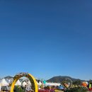 춤추는 사람 | 2025 강진만 춤추는 갈대축제 방문 후기와 팁, 주차