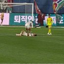 조일푸드 | 🔵🟡 전반밤티 vs 후반밤티 [대전하나시티즌 v 울산HD] 대전월드컵경기장 원정석 N25 4열 16