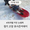 [경기 고양 아기랑 가볼만한 곳] 36개월 미만 눈썰매 가능한 포시즌어데이 추천 후기