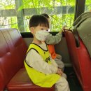 최강두리 태권도장 이미지