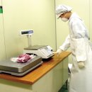 녹색흑염소 이미지