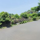 남원읍-4 이미지