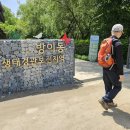 성내 1교 (밑) 이미지