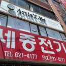 비에스조명