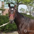 양일목장 이미지