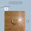 편편집 하남점 | [11월 일상] 더 추워지기전에 활동량 111% 달성! 많이 돌아다녔던 11월!