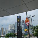 털뭉치즈 이미지