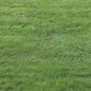 동광골프클럽 이미지