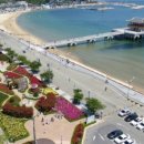 초원통닭삼계탕 이미지