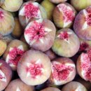 동네농장(2) 이미지