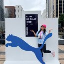 청계스포츠 | 첫 하프마라톤 컷오프 턱걸이 완주 후기｜아워심볼 포토스포츠 사진· 유튜브 영상 찾아보기｜동마클럽...