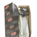 안성빌딩A동 이미지