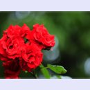 곡성-055 티스토리