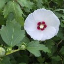 전립선비대증 이미지