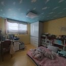 로얄홈타운 이미지