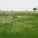 이야기가 있는 풍경 이미지