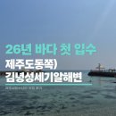 2026년 제주바다 입수! 김녕성세기알해변 첫 스노클링 후기