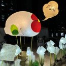 꿈꾸는 물고기 | [강북구 축제] 10월 우이천 등 축제 ’강북 꿈꾸는 물고기‘