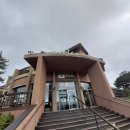 평창 가족 숙소 알펜시아리조트 홀리데이인 스위트 내돈내산 리얼후기