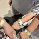 슬로우인 | 동탄 아이랑 가볼만한 곳｜네이처스케이프 대형 체험형 키즈카페 주말 후기