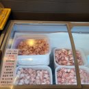 향연돈