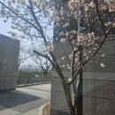 밀양강 푸르지오 | 밀양강푸르지오+밀양역+29평형+106동남향