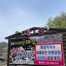캠핑장/ 텐트밖은 지리산 대경캠핑장 사이트 및 편의시설 소개