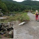 남도삼백리길(7코스) 이미지