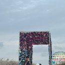 코스모스악기 | 2025 서울 억새축제 2일차 방문 후기 (억새 사진, 날씨, 코스모스, 프로그램 관람평 등)