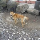 시흥초등학교 이미지