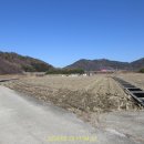 계천배수장 이미지