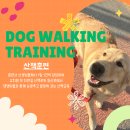 902댕스쿨 이미지