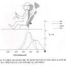 경추의 임상적 실체(Cervical Clinical Entitles) 이미지