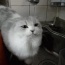 하나정수기