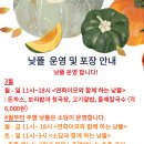 협동조합 동네마실방뜰 이미지