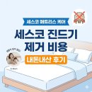 하얀세탁 | 세스코 진드기 제거 비용 내돈내산 후기: 퀸사이즈 매트리스 케어 가격, 아깝지 않았던 솔직한 이유