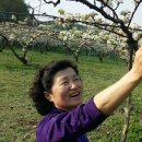 중산농장 이미지