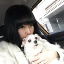 해림동물병원 이미지