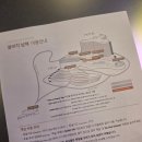 설리리조트 펜션 B동 | 쏠비치 남해 디럭스 오션뷰 4인가족(체크인 배정시간. 부대시설. 식당)