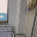 과일담꼬