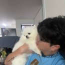 청년피자 산본직영점 테이크아웃 7000원 할인!