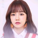 율 이미지