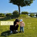 양지2쌈지공원 | 부산 아이랑 가볼만한 곳 추천 대저생태공원 (feat. 주차, 근처맛집 내돈내산 양지밥집)