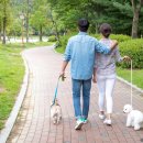 훼미리하우스콘도 이미지